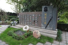 致敬“平安卫士”，铭记“刑警之魂”
